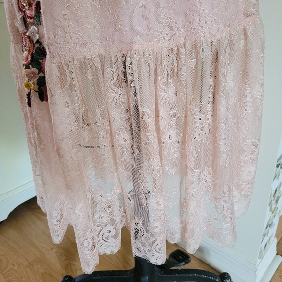 Pink Mary Cottagecore maxy lace dress with floral appliques Velvet accents Y2K - Picture 12 of 13
